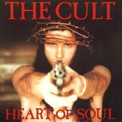 Cover of Heart of Soul