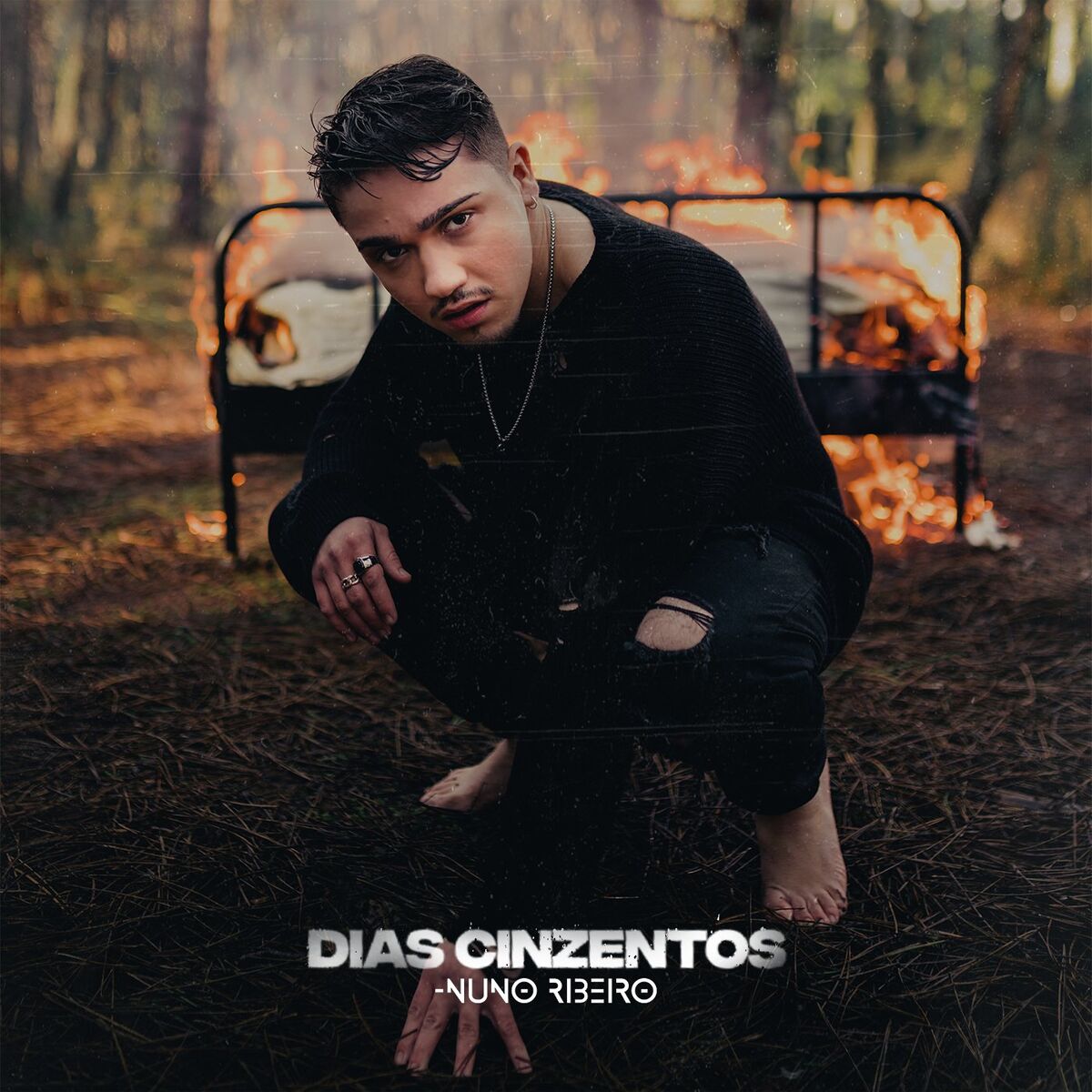 Album cover of Dias Cinzentos