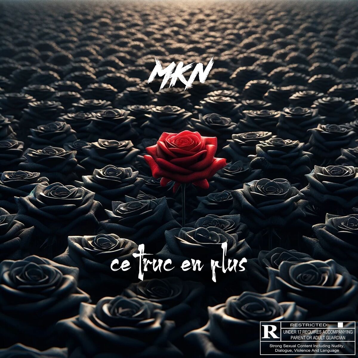 Album cover of Ce truc en plus