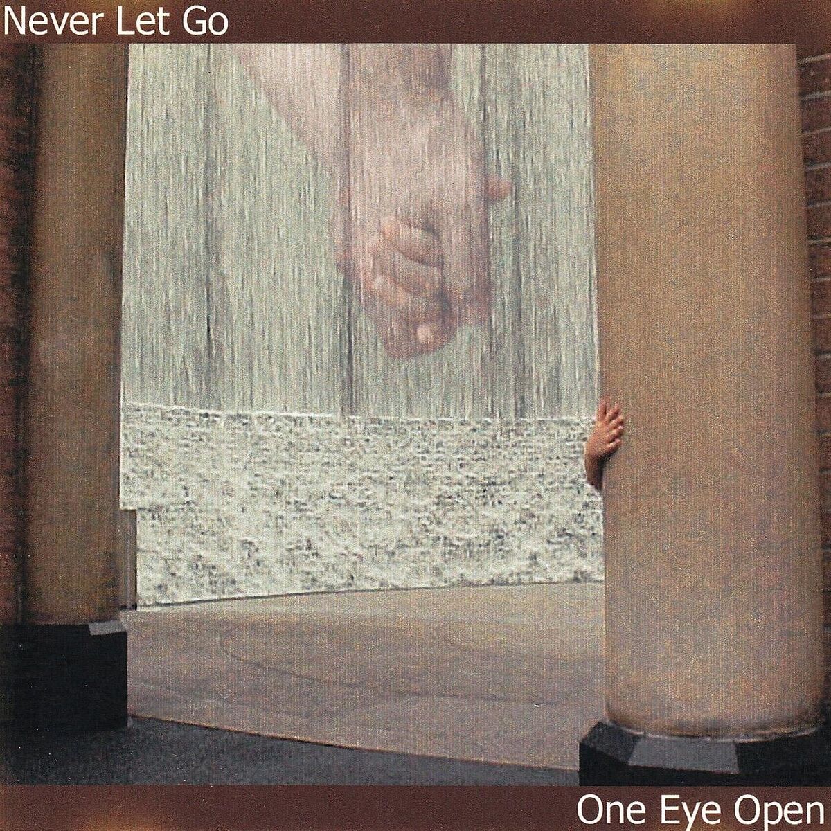 Album cover of Never Let Go