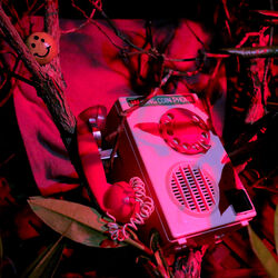 Cover of Faces At Night