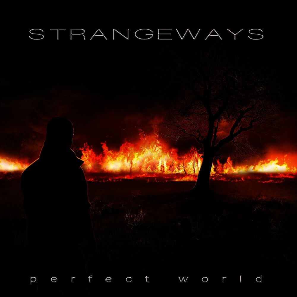 Picture of Perfect World