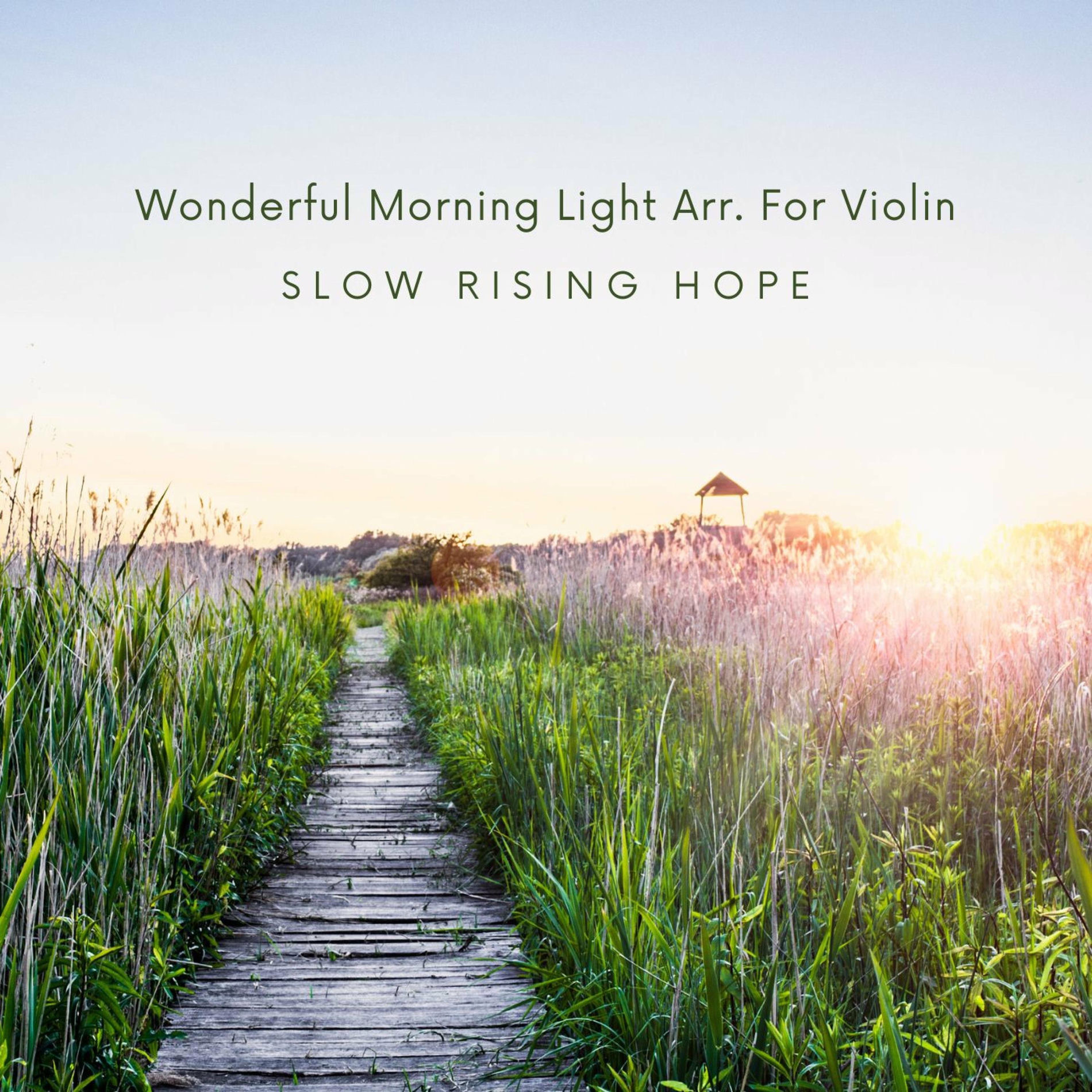 Album cover of Wonderful Morning Light Arr. For Violin