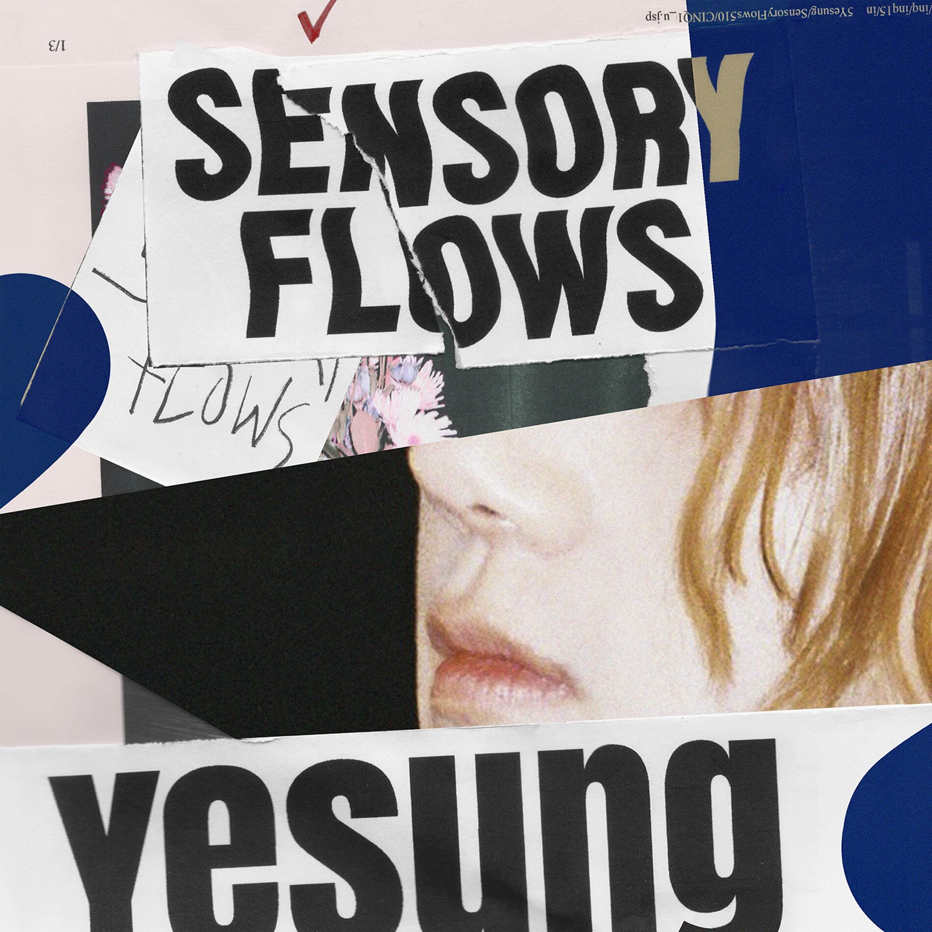 Album cover of Sensory Flows - The 1st Album