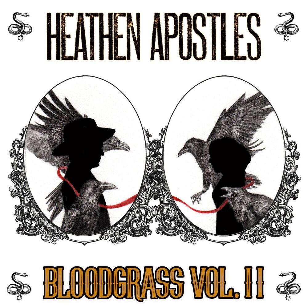 Picture of Bloodgrass, Vol. II