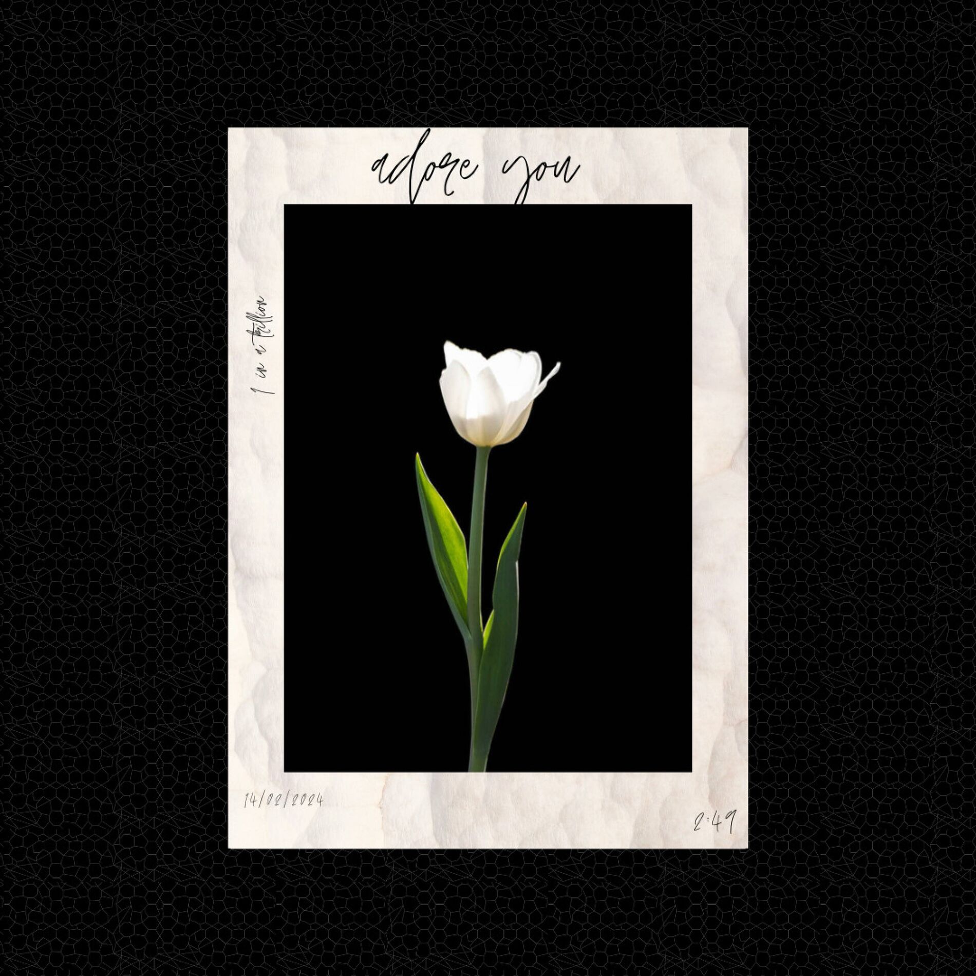 Album cover of adore you