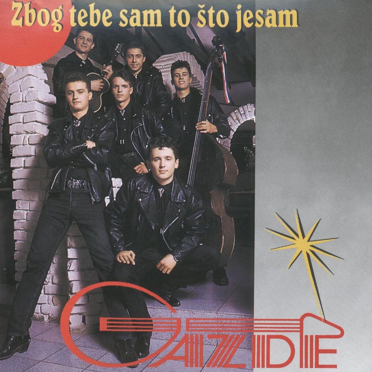Album cover of Zbog Tebe Sam To Što Jesam