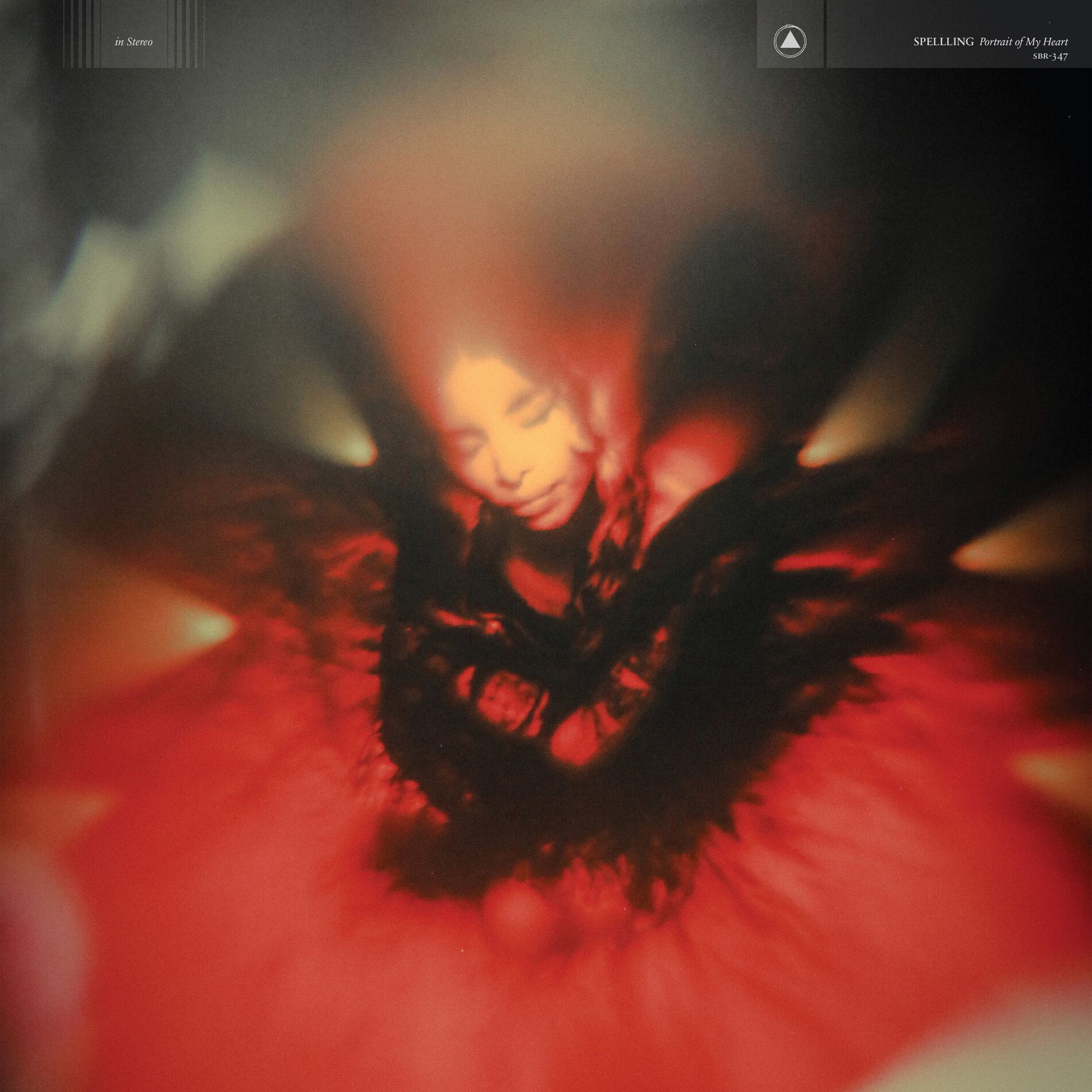 Album cover of Portrait of My Heart 