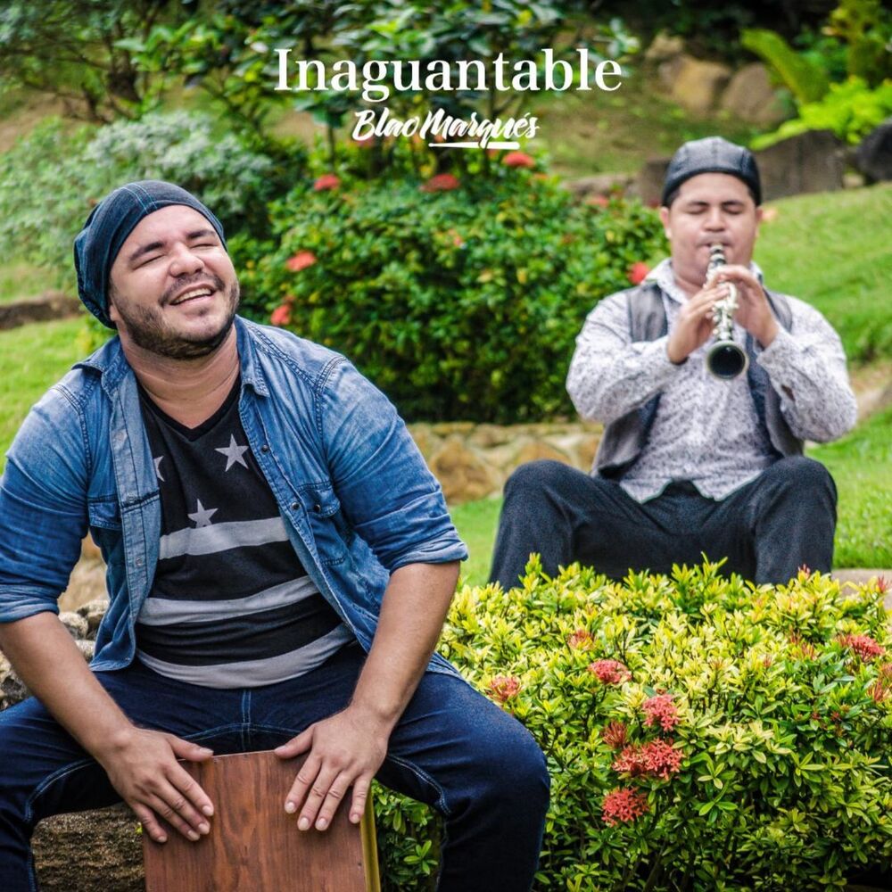 Picture of Inaguantable