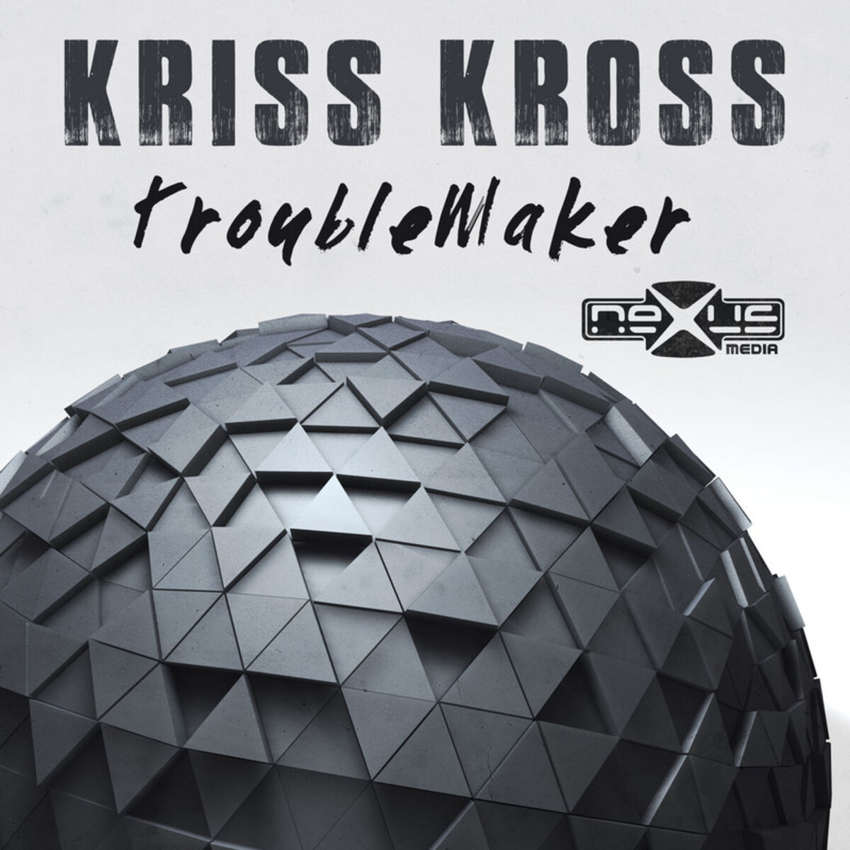 Album cover of TroubleMaker