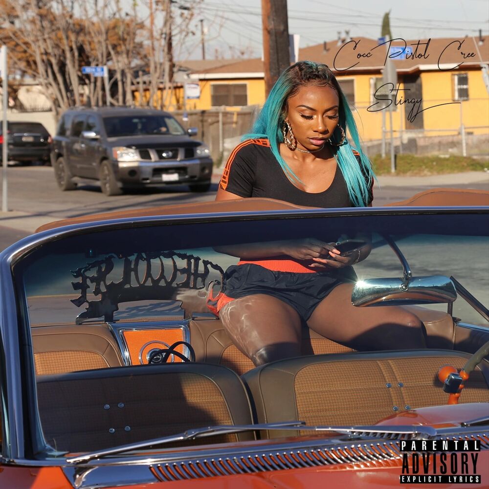 Picture of Stingy (Cree Mix)
