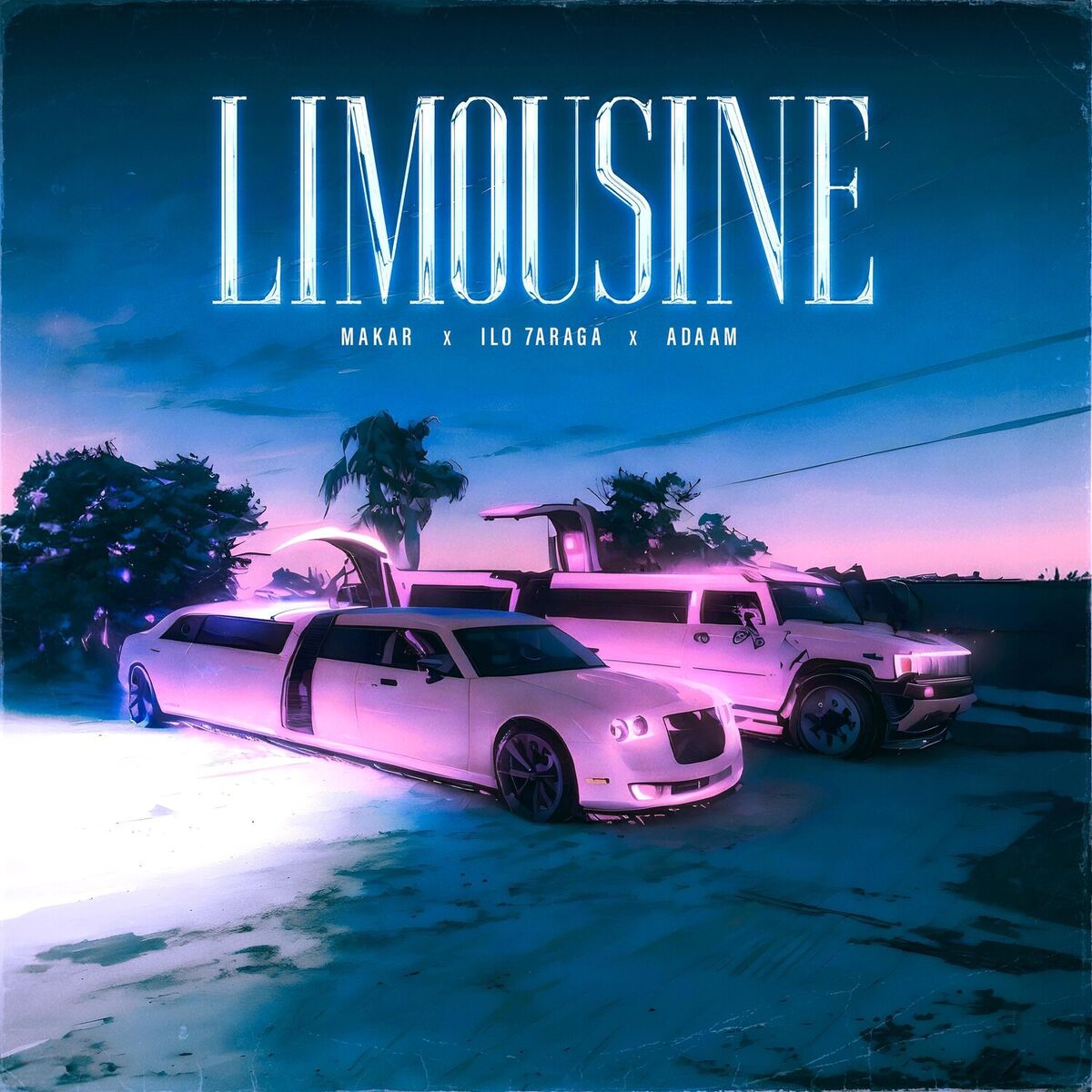 Album cover of Limousine