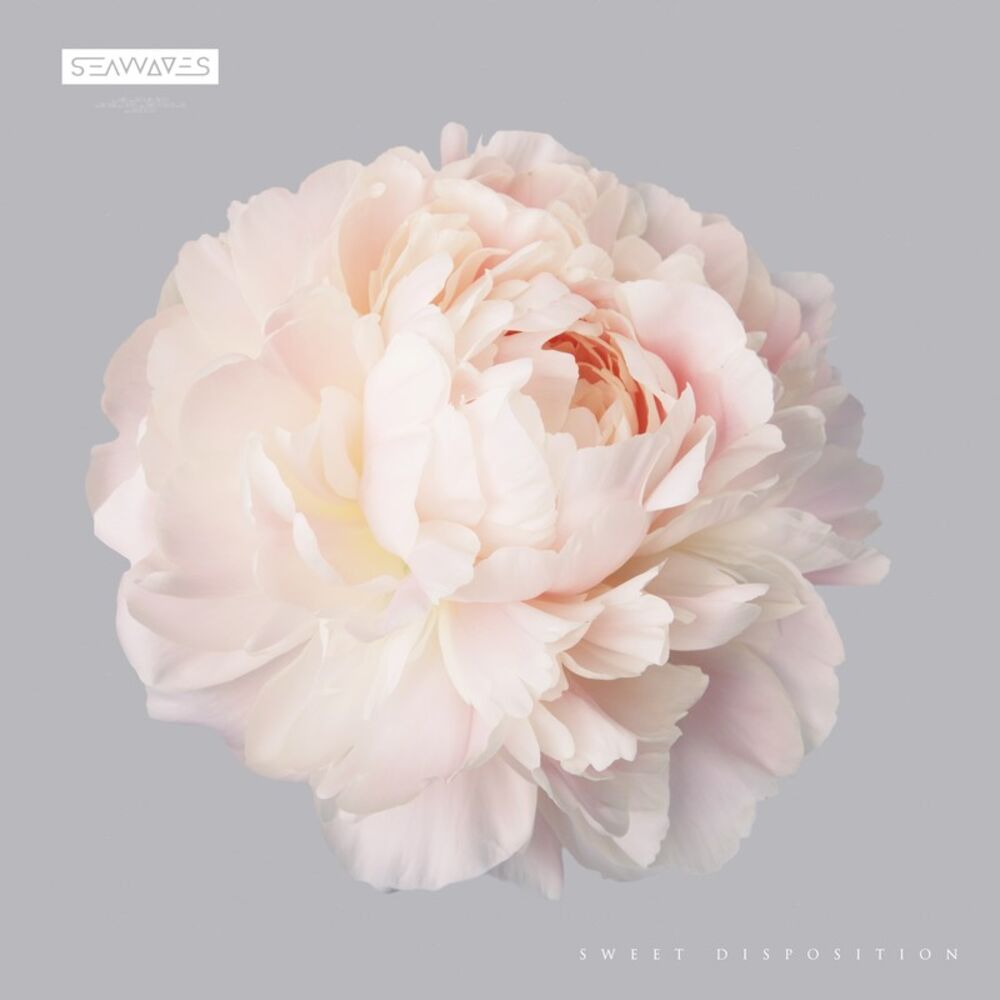 Picture of Sweet Disposition