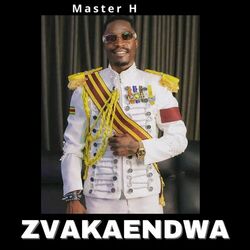 Cover of Zvakaendwa