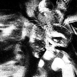 Cover of CHAMPAGNE
