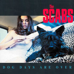 Cover of Dogs Days Are Over