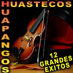 Cover of 12 Grandes Exitos