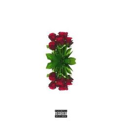 Cover of 100% nbrick