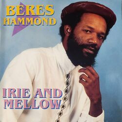 Cover of Irie And Mello