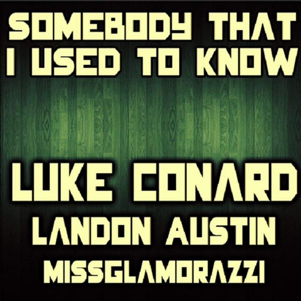 Picture of Someone That I Used to Know (feat. Landon Austin & Missglamorazzi) - Single