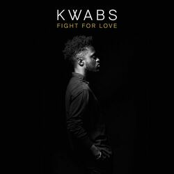 Cover of Fight for Love (Blonde Remix; Radio Edit)
