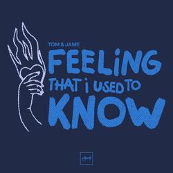 Cover of Feeling That I Used To Know