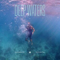 Cover of Deep Waters