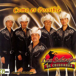 Cover of Como Es Possible