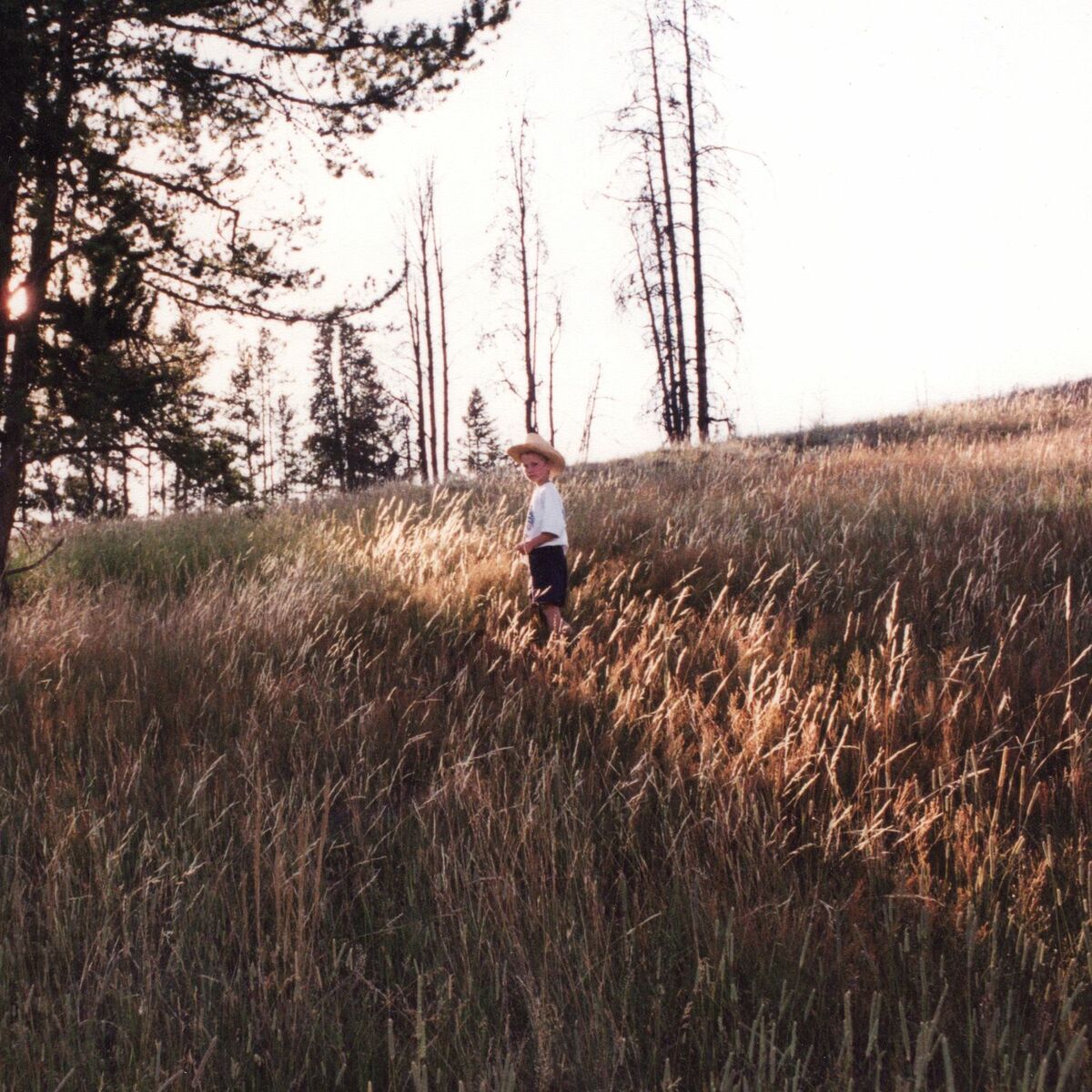 Album cover of Old Man