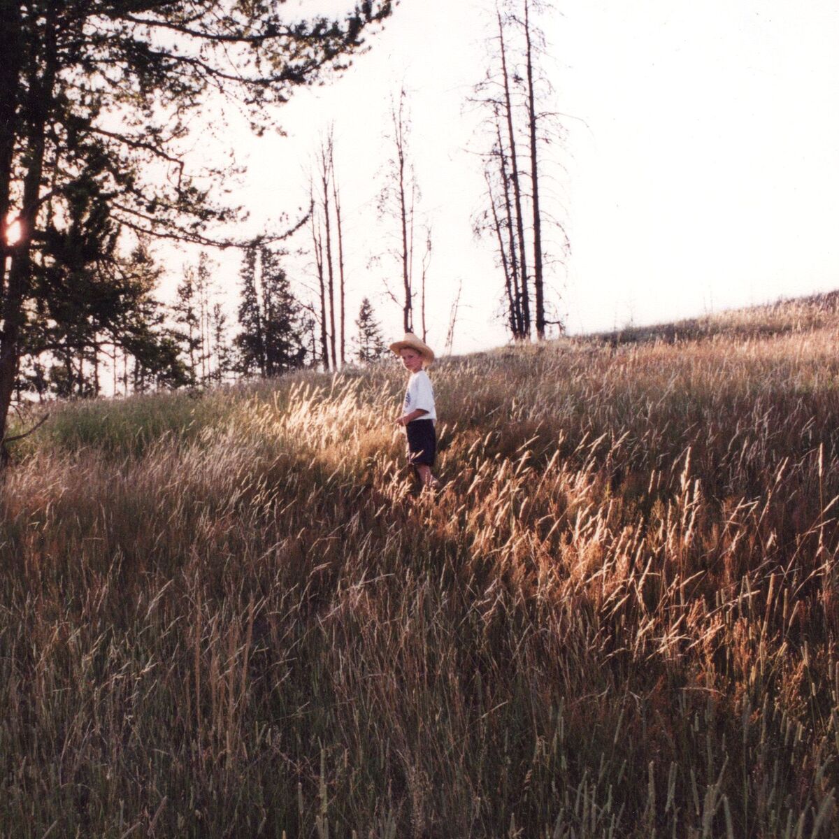 Album cover of Old Man