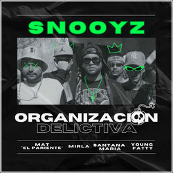 Cover of Organización Delictiva