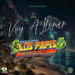 Cover of Voy a Llorar