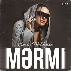 Cover of Mərmi
