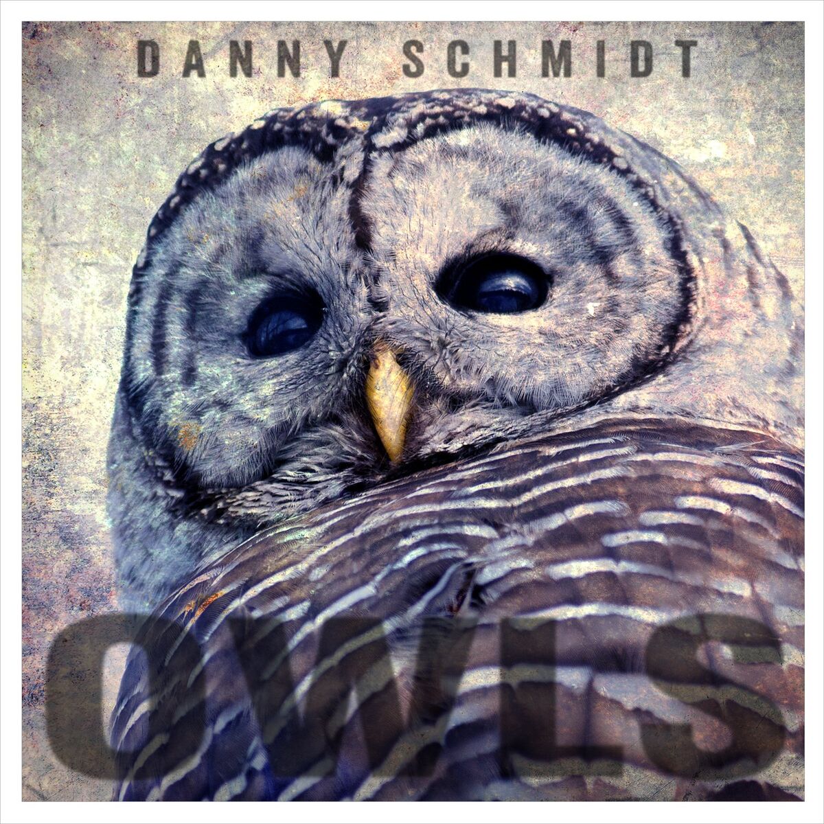 Album cover of Owls