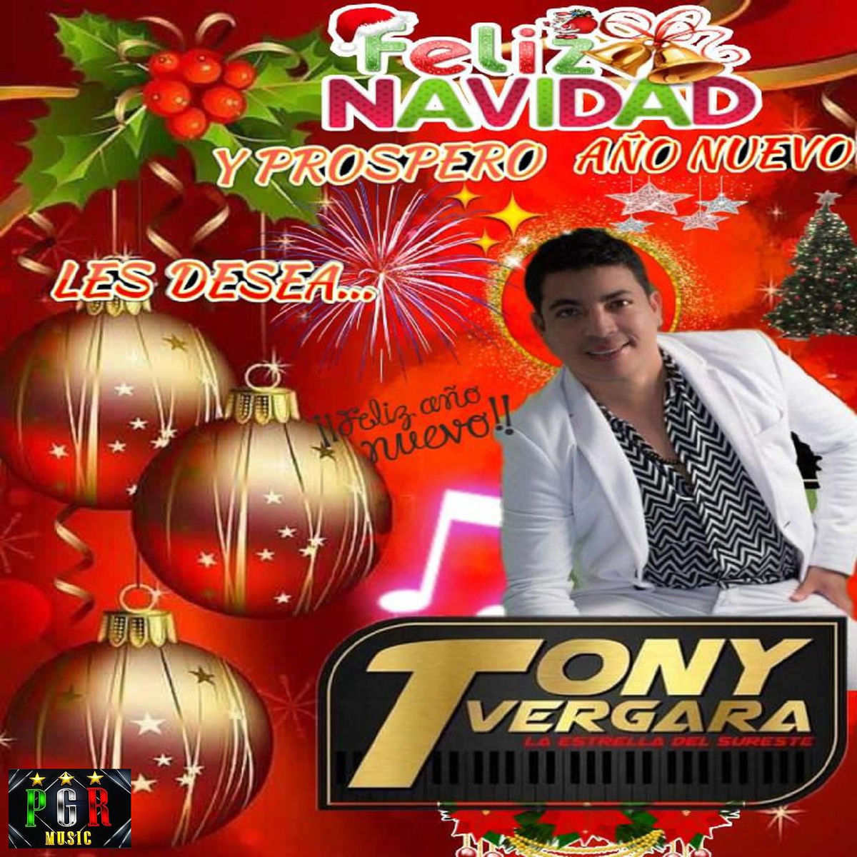 Album cover of Fiesta Navideña