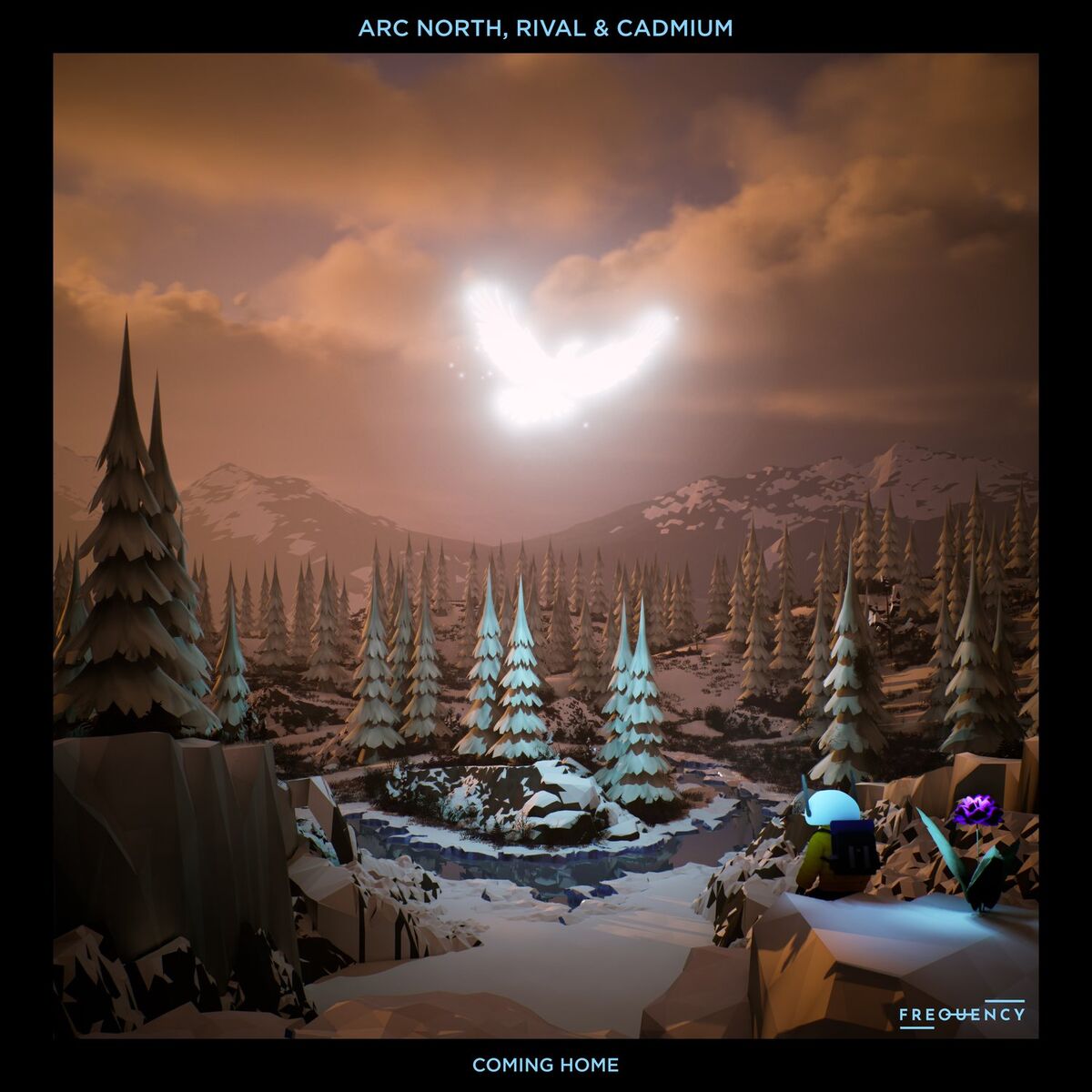 Album cover of Coming Home