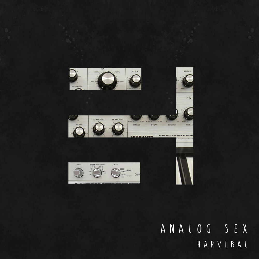 Picture of Analog Sex