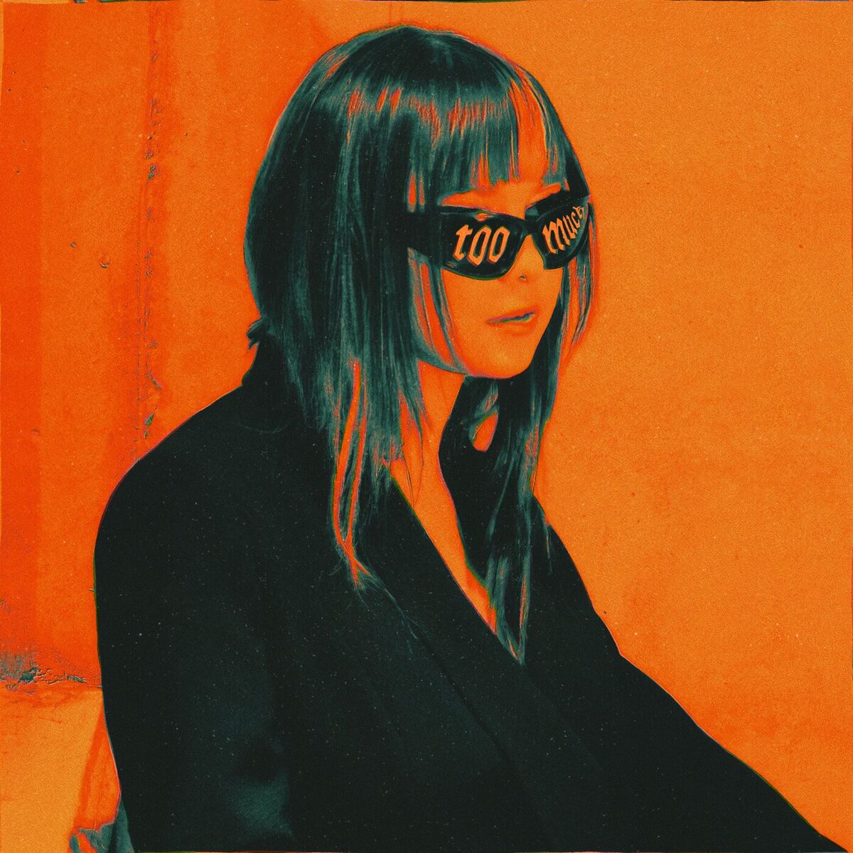 Album cover of Too Much