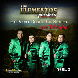 Cover of Desde la Sierra Con Tololoche (En Vivo) Vol. 2