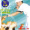 Sak te gen tan gen la (Live) by Kreyol La album cover