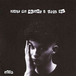 Cover of Leave Me Before I Love You
