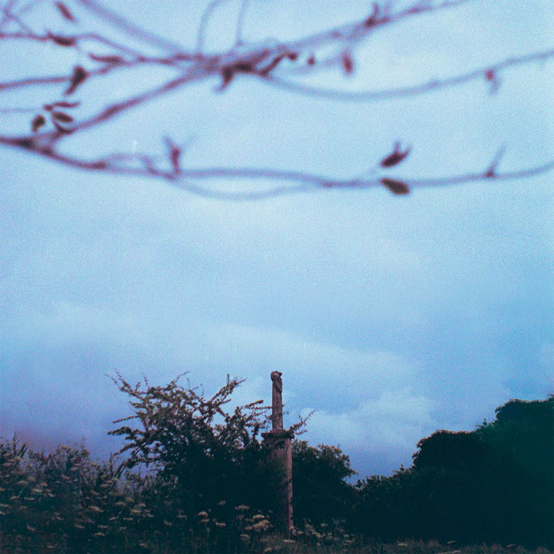 Album cover of mana burn
