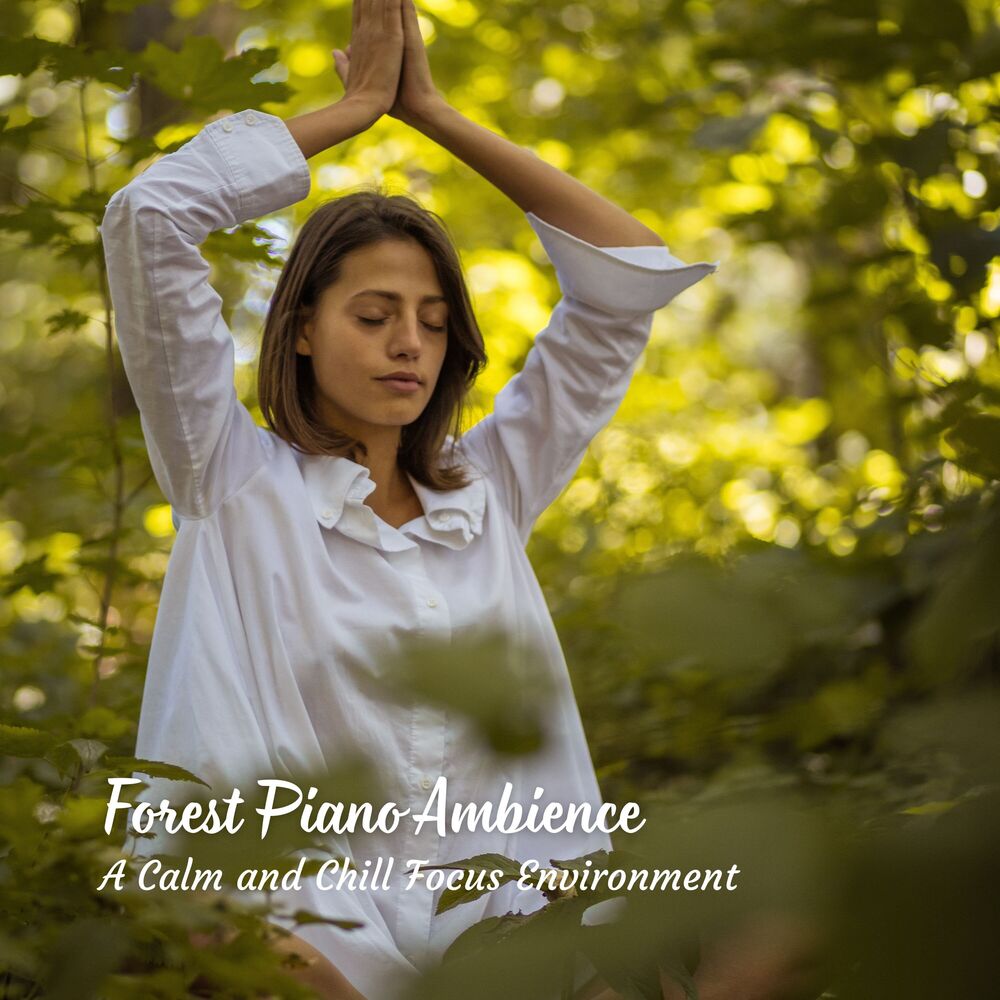 Picture of Forest Piano Ambience: A Calm and Chill Focus Environment