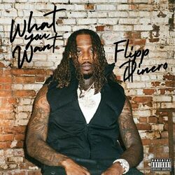 Cover of What You Want