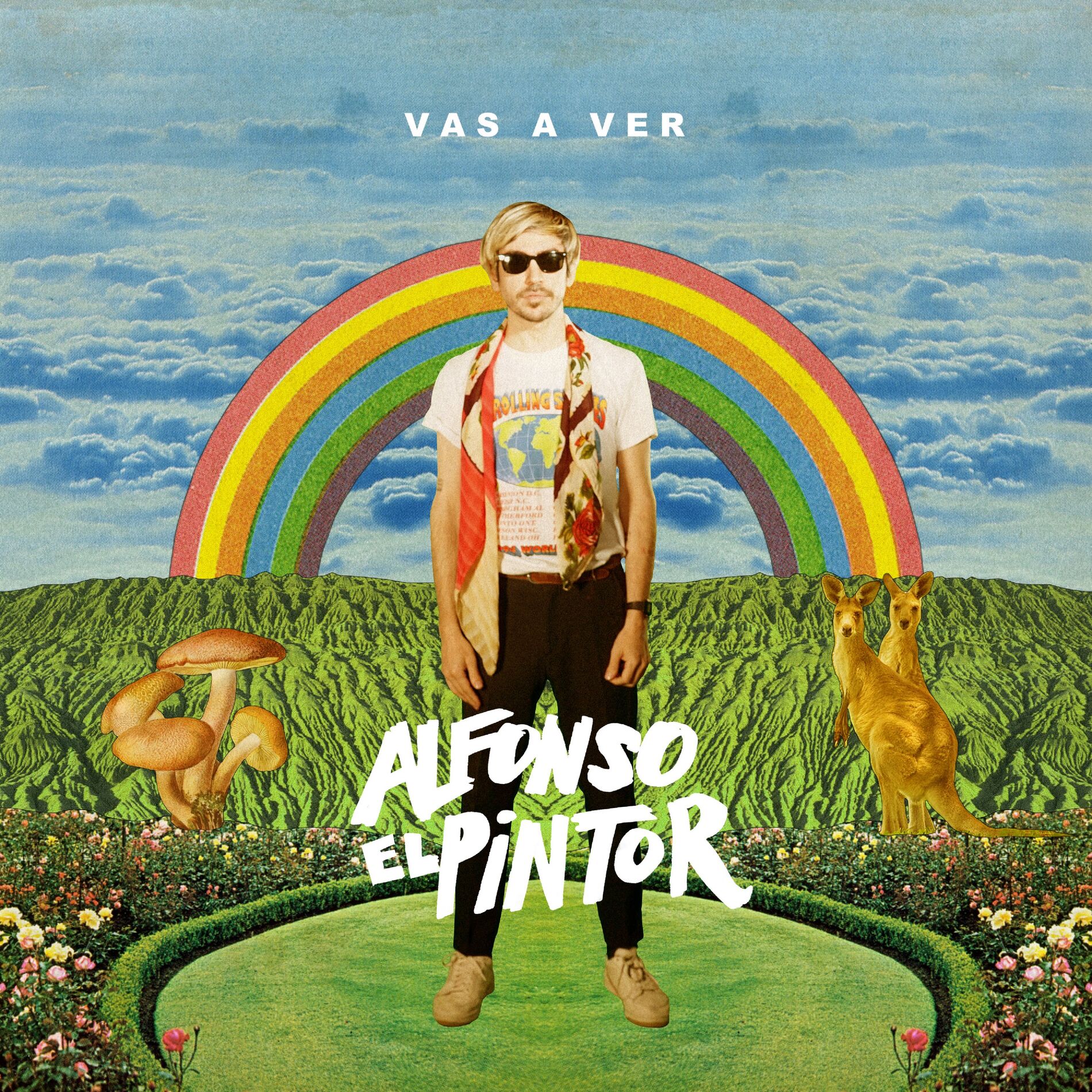 Album cover of Vas a Ver