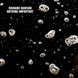 Cover of Nothing Important
