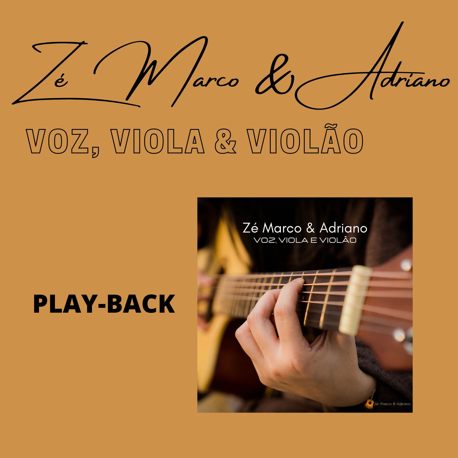 Album cover of Voz, Viola e Violão (Playback)