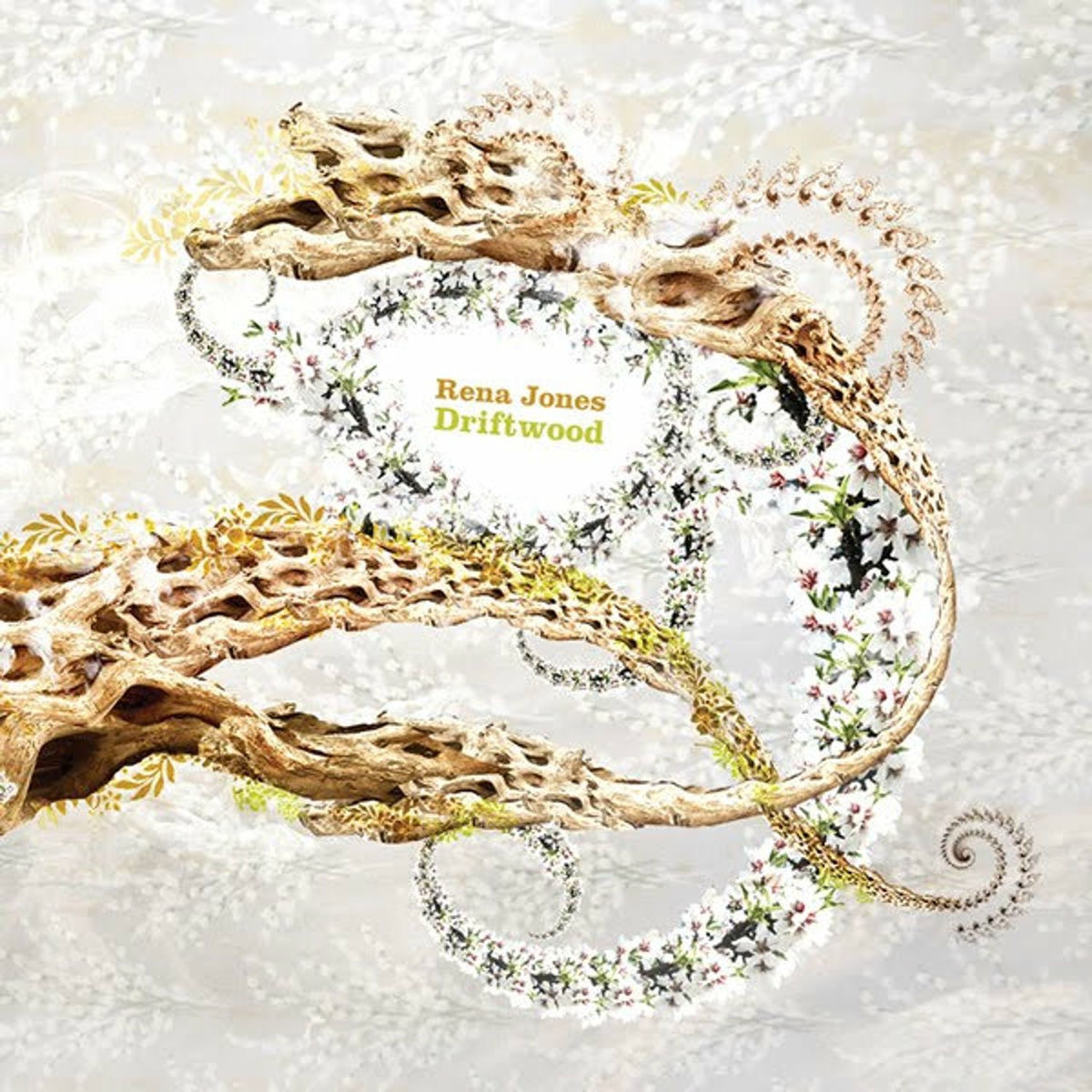 Album cover of Driftwood