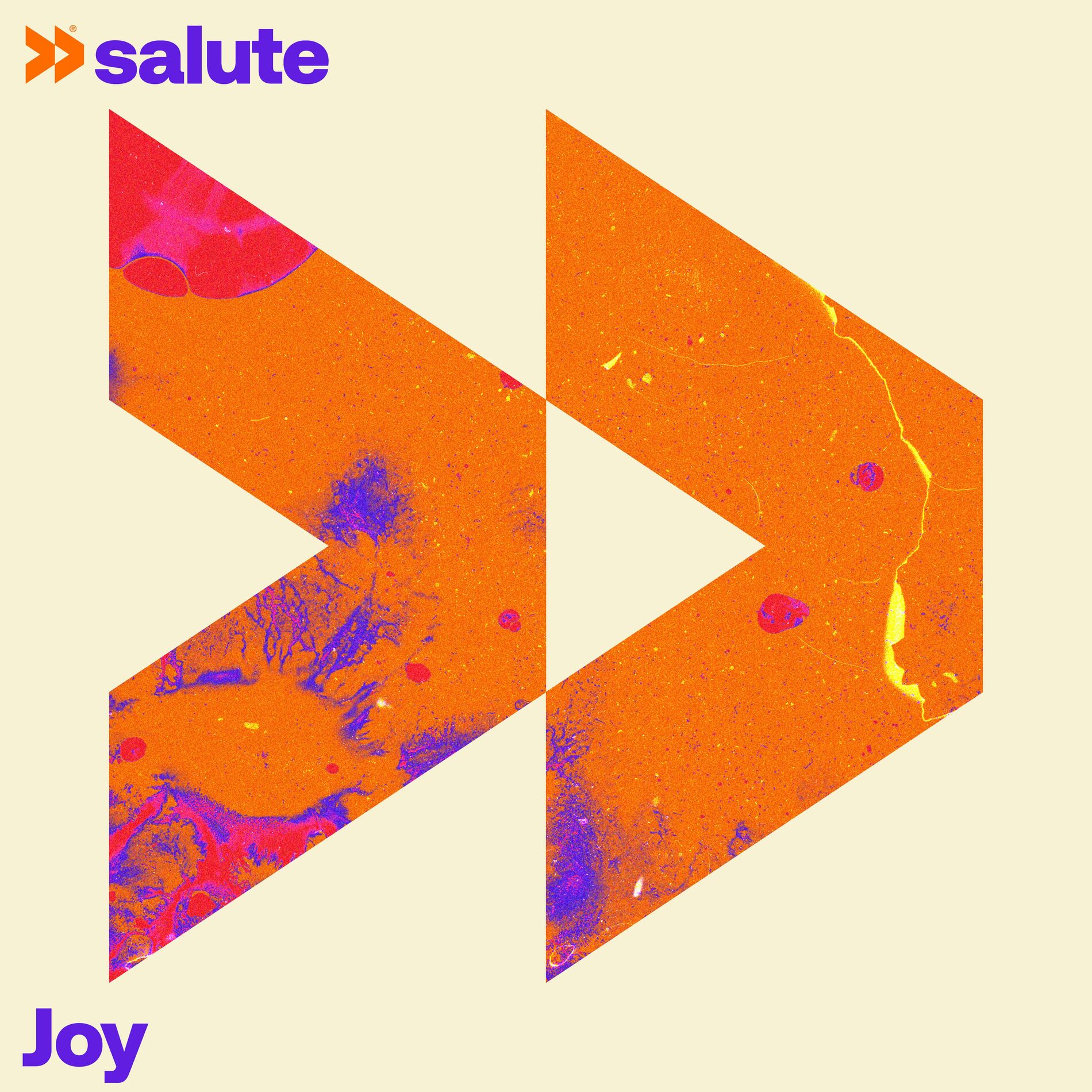 Album cover of Joy