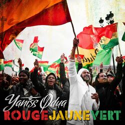 Cover of Rouge jaune vert